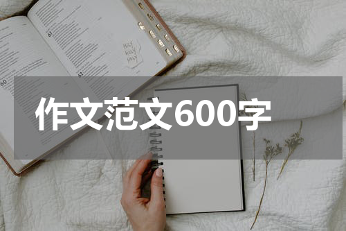 作文范文600字
