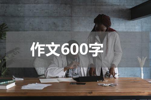 作文600字