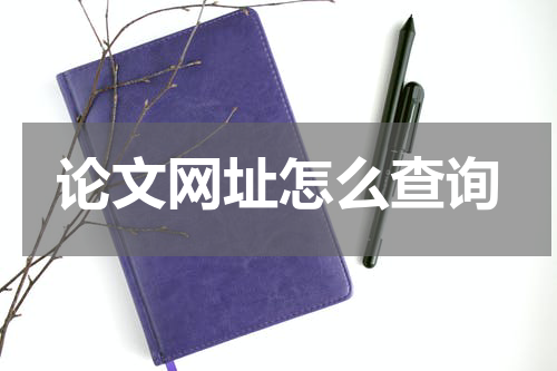 论文网址怎么查询