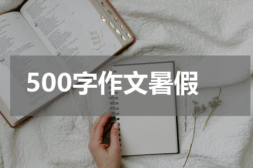 500字作文暑假