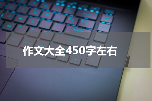 作文大全450字左右