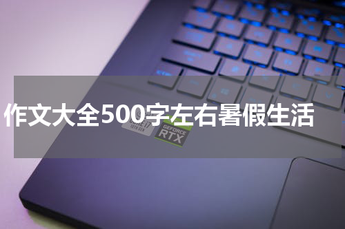 作文大全500字左右暑假生活