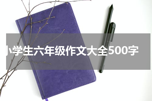 小学生六年级作文大全500字