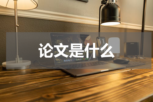 论文是什么