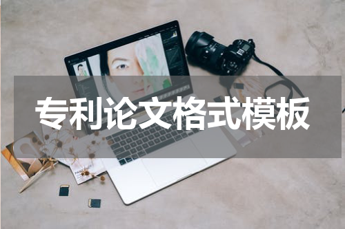专利论文格式模板