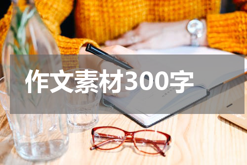 作文素材300字