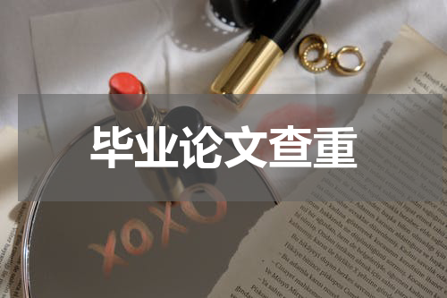 毕业论文查重