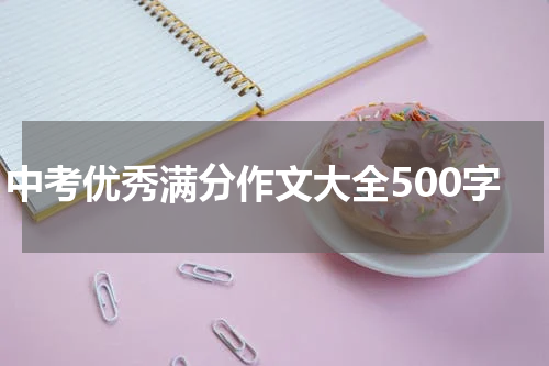 中考优秀满分作文大全500字