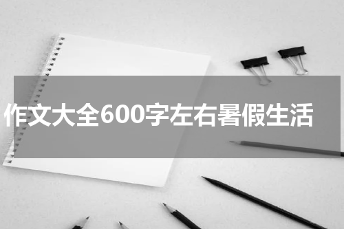 作文大全600字左右暑假生活