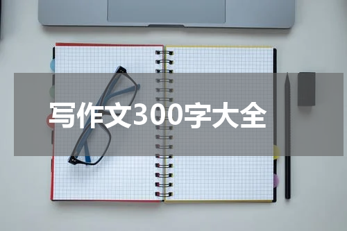 写作文300字大全
