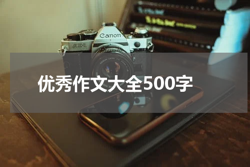 优秀作文大全500字