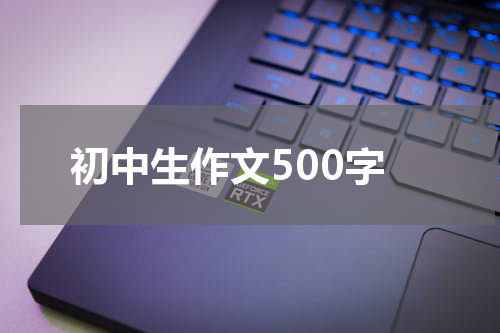 初中生作文500字
