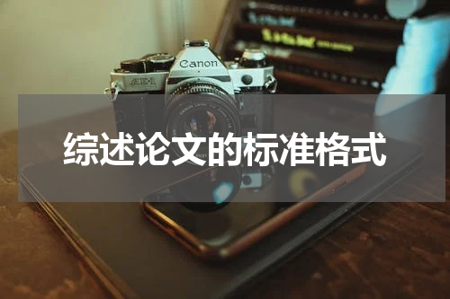 综述论文的标准格式