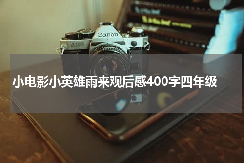小电影小英雄雨来观后感400字四年级