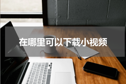 在哪里可以下载小视频