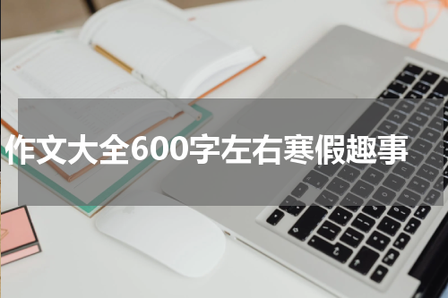 作文大全600字左右寒假趣事