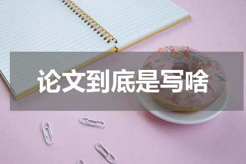 论文到底是写啥