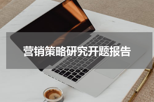 营销策略研究开题报告