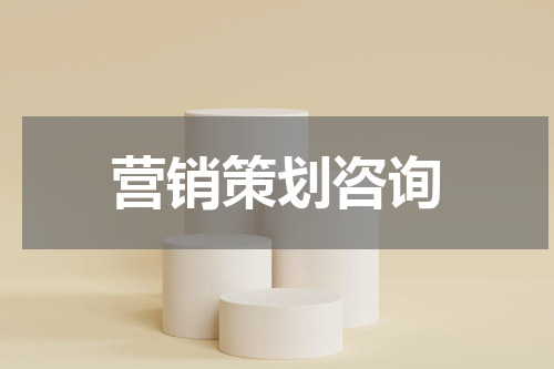 营销策划咨询