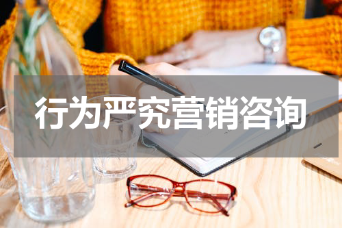 行为严究营销咨询