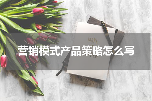 营销模式产品策略怎么写
