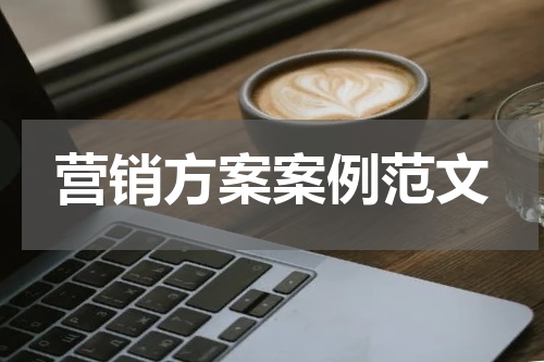 营销方案案例范文
