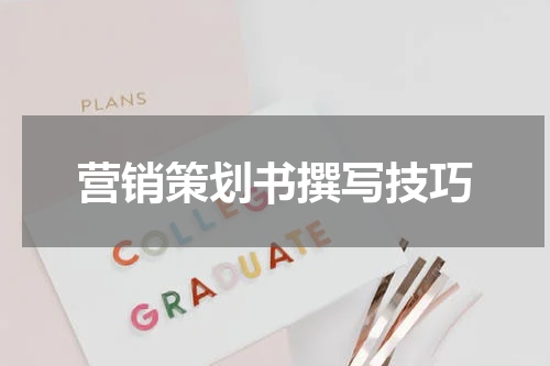 营销策划书撰写技巧