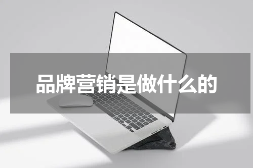 品牌营销是做什么的