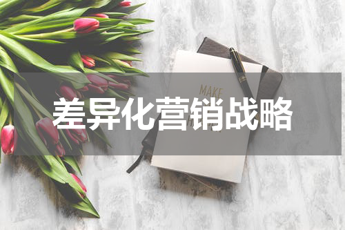 差异化营销战略