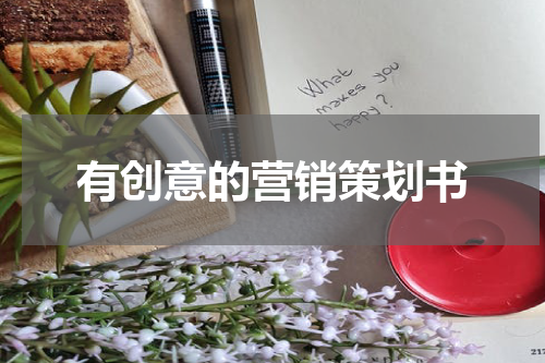 有创意的营销策划书