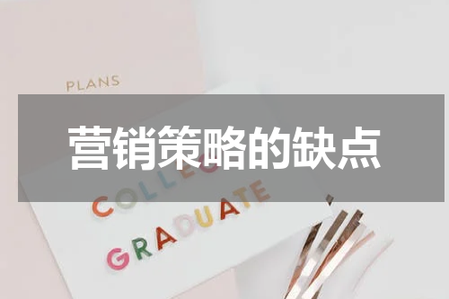营销策略的缺点