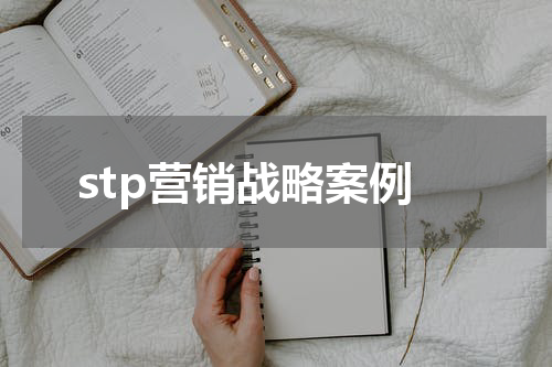 stp营销战略案例