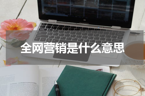 全网营销是什么意思