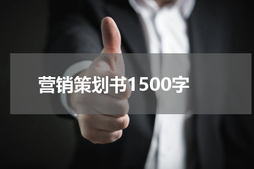 营销策划书1500字