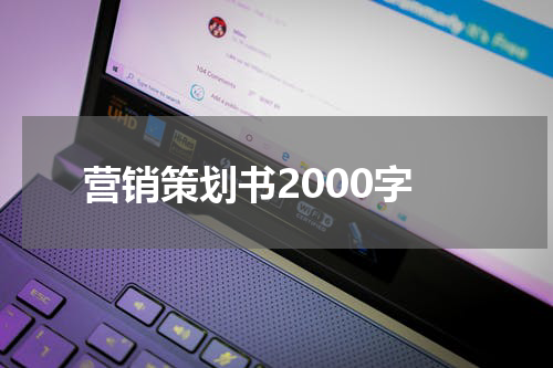营销策划书2000字