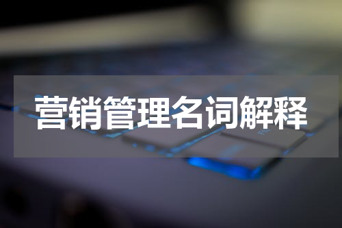 营销管理名词解释