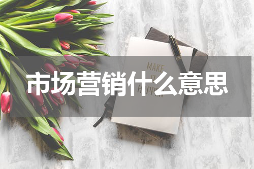 市场营销什么意思