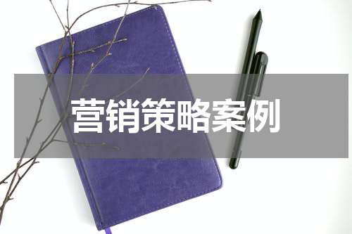 营销策略案例