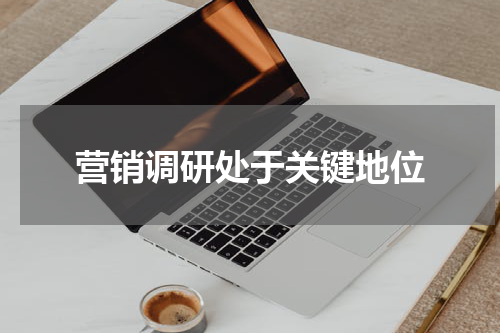 营销调研处于关键地位