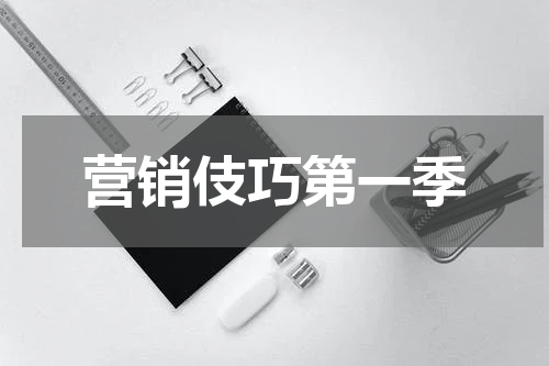 营销伎巧第一季