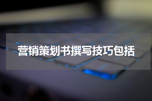 营销策划书撰写技巧包括