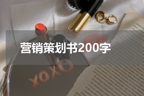 营销策划书200字