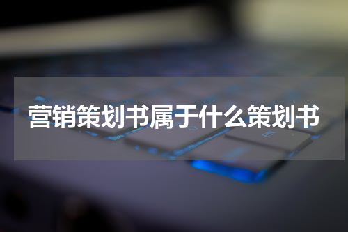 营销策划书属于什么策划书