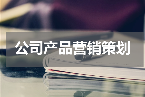 公司产品营销策划
