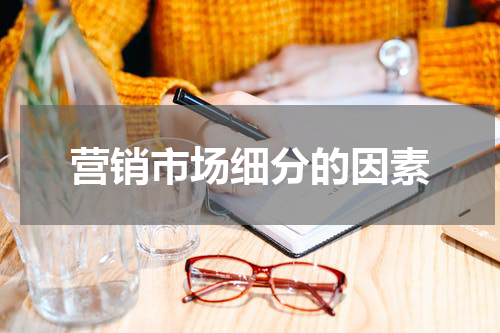营销市场细分的因素