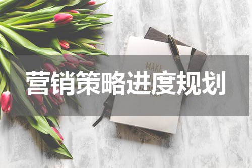 营销策略进度规划