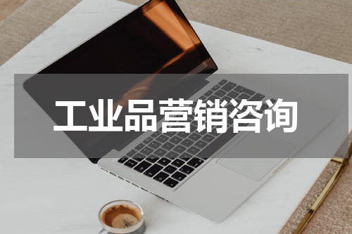 工业品营销咨询