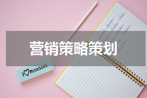 营销策略策划