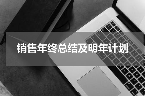 销售年终总结及明年计划
