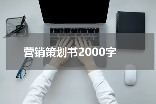 营销策划书2000字